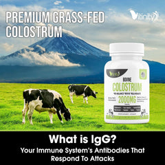 VITINITY gut-health capsules provide a potential daily boost.