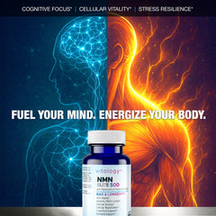 Vitology NMN Elite 500 vegan capsules packaging for daily use