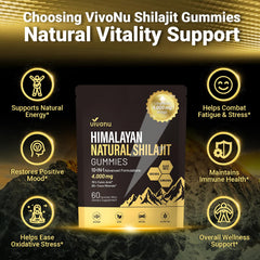 VivoNu Shilajit Gummies on shelf with clear ingredient label for informed choice.