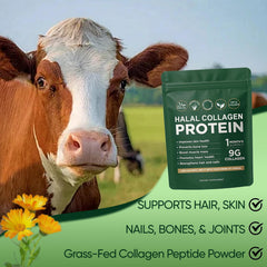 Vlsdoin collagen visuals showing hair, skin and nails benefits