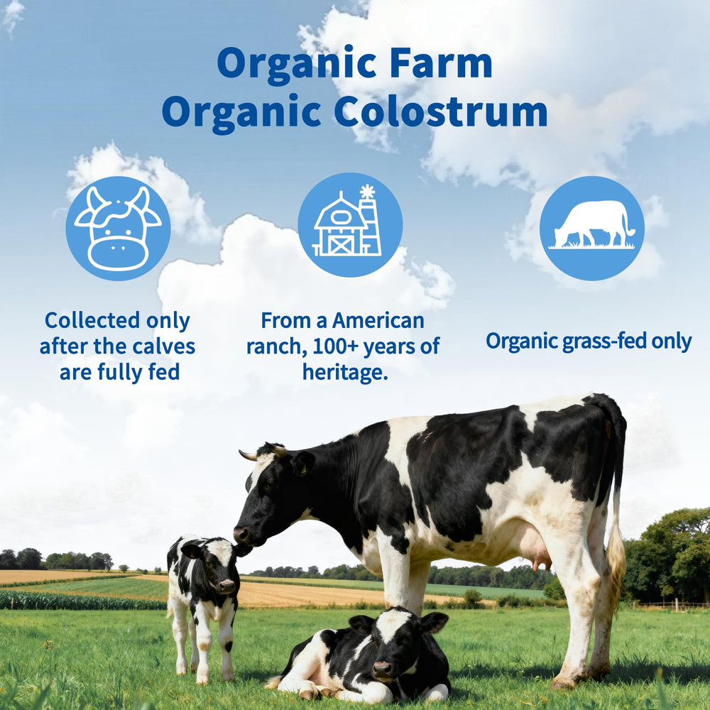 VNNIQ colostrum powder on scales; precise serving measurement for consistent daily intake.