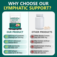 VOGSIG Lymphatic Drainage lifestyle scene highlighting daily balance.