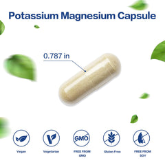 VPKIN Potassium Magnesium capsules pictured for convenient daily nutrition supporting muscle function