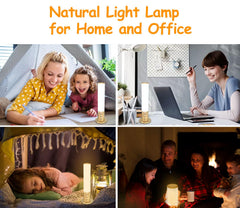 VUSIHOO lamp adjustable from 2700K to 6000K for any mood or task