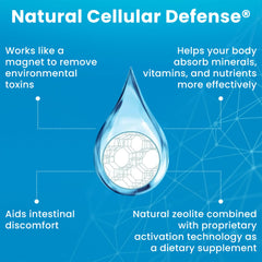 Waiora NCD activation-technology note for enhanced absorption.