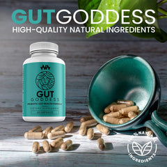 Warped Wellness lifestyle shot promoting calm, balanced daily routine.