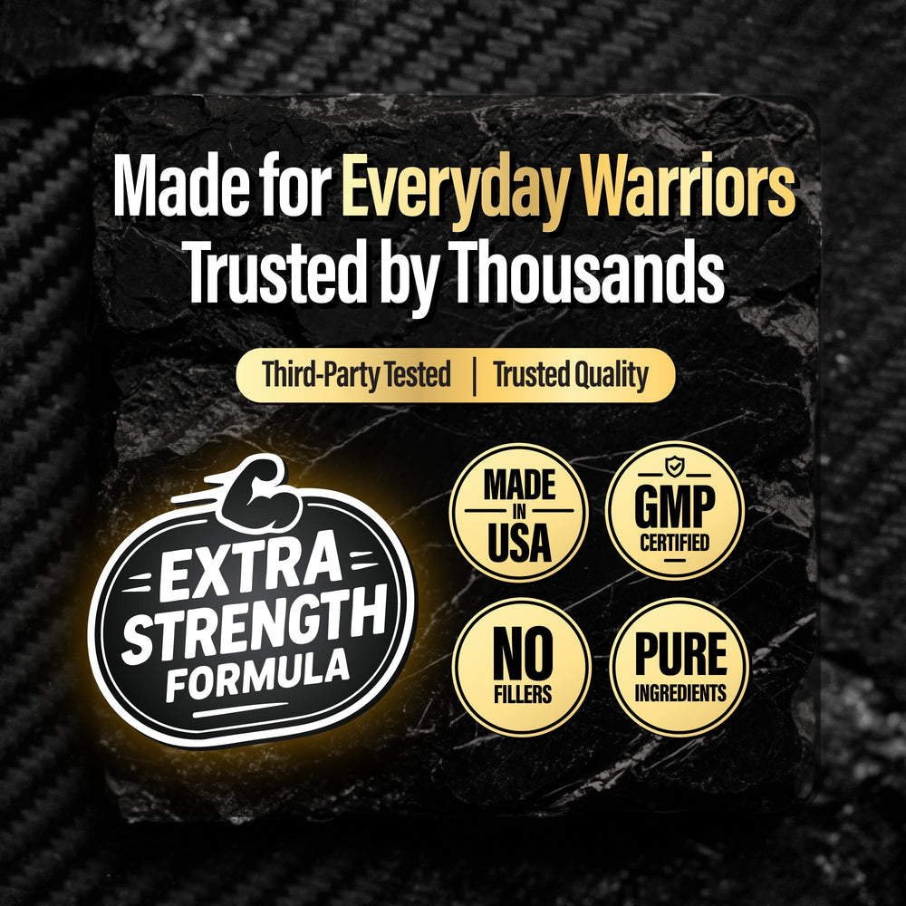 Warrior Protocol King Booster daily routine scene integrated with workouts and meals