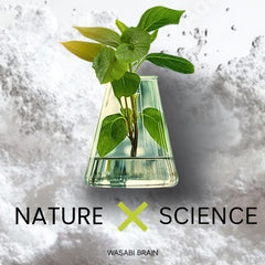 WASABI BRAIN recyclable bottle design supporting eco-conscious shoppers.