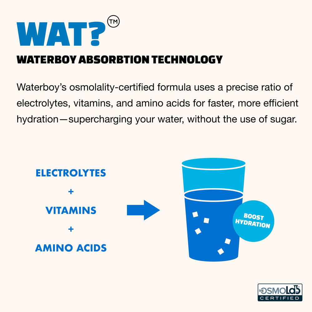 Waterboy Weekend Recovery Lemon Ginger flavor with bright, zesty profile