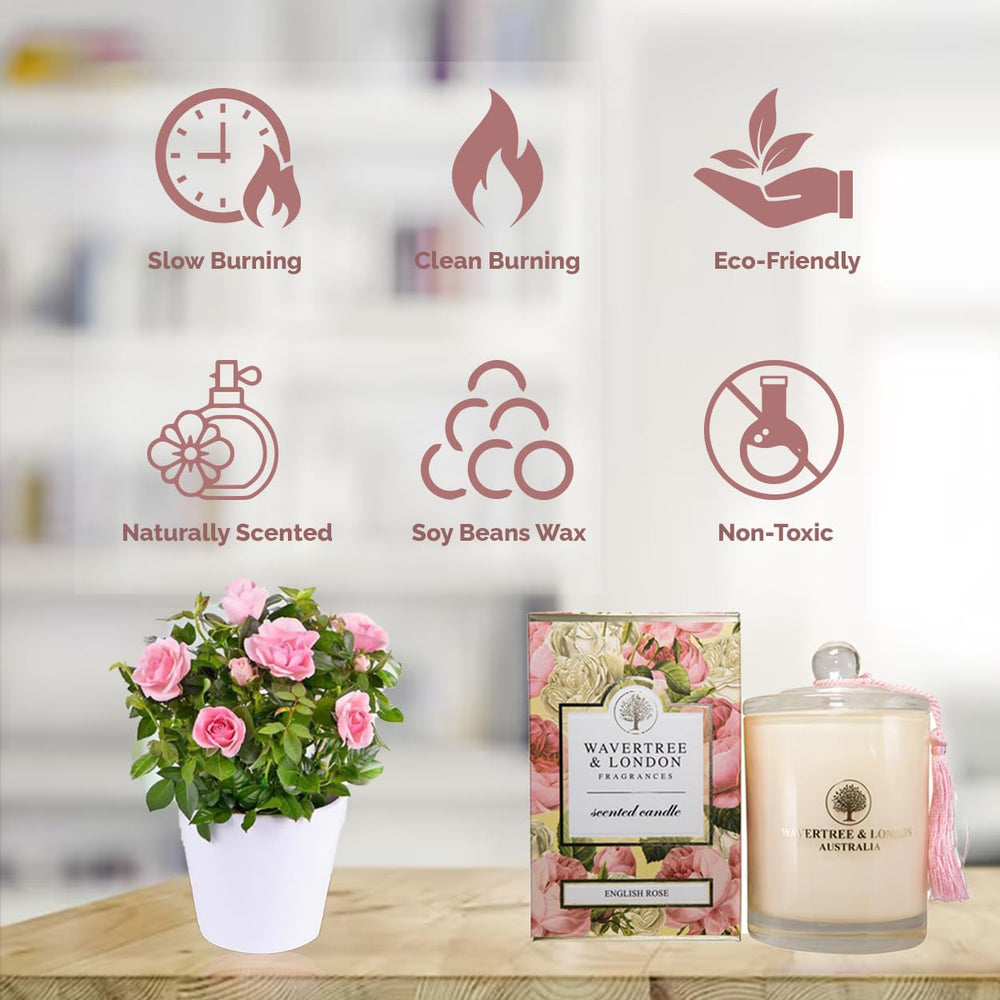 Wavertree & London English Rose candle packaging ready to gift in style.