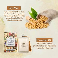 Wavertree & London non-toxic soy wax candle highlights eco-friendly materials