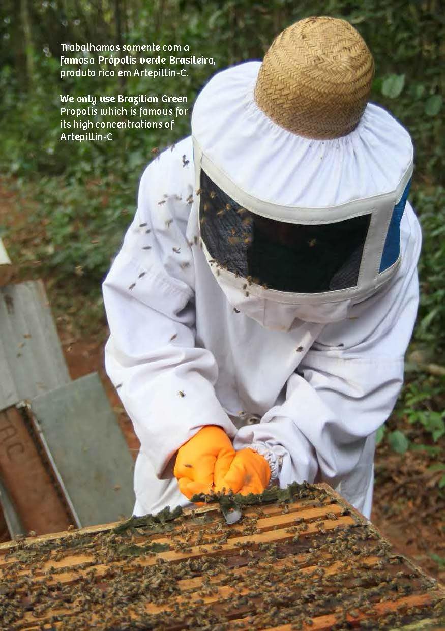 Wax Green Brazil Propolis packaging highlights natural sourcing and sustainability