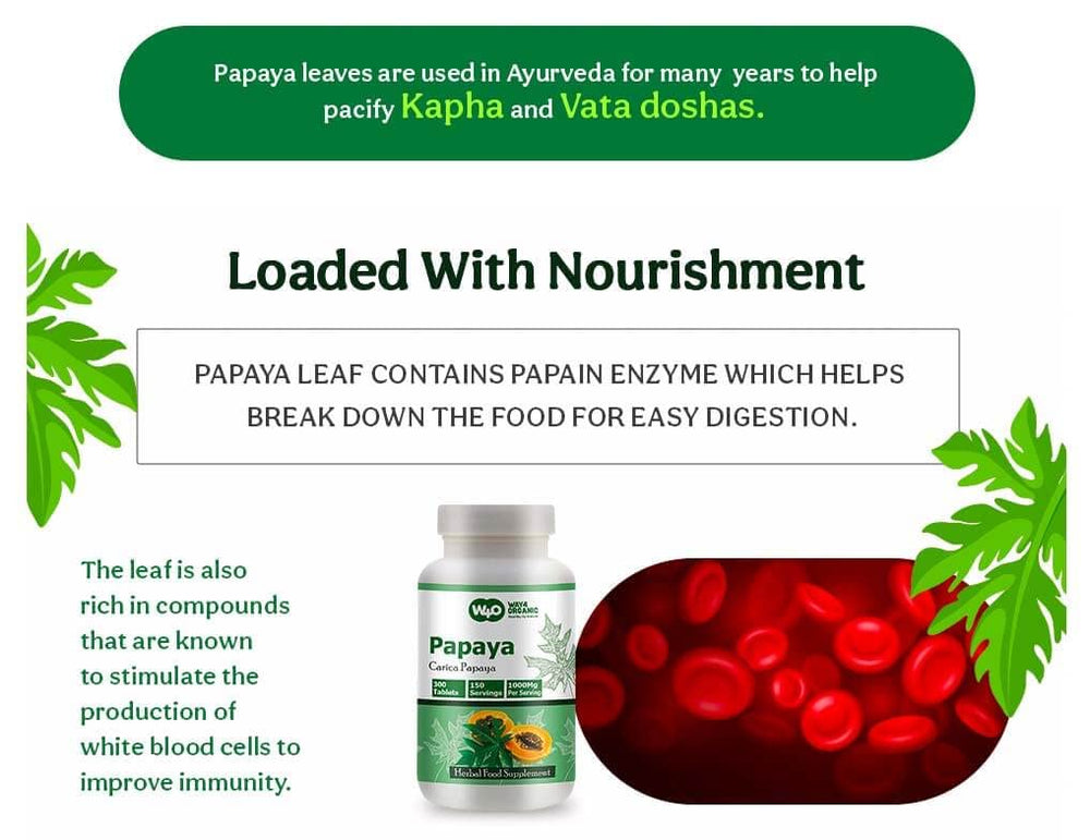 WAY 4 ORGANIC W4O papaya leaf extract ingredients highlight of enzymes.