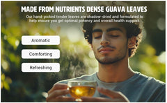 Dissolve guava leaf powder in warm water for a gentle drink.