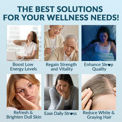 Weevit green tea extract capsules for antioxidant support and mental clarity.