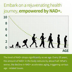 Welitalisync capsules close-up suggests smooth texture for easy daily intake