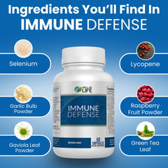 Well of Life Immune Defense 600mg ingredients: garlic, turmeric, and green tea in a vegan blend for support