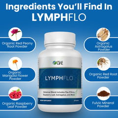 Well of Life LymphFlo USA-made label indicating quality and purity