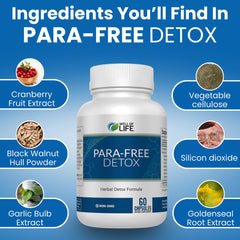 Well of Life Para-Free Detox packaging box for convenient supplement routine.