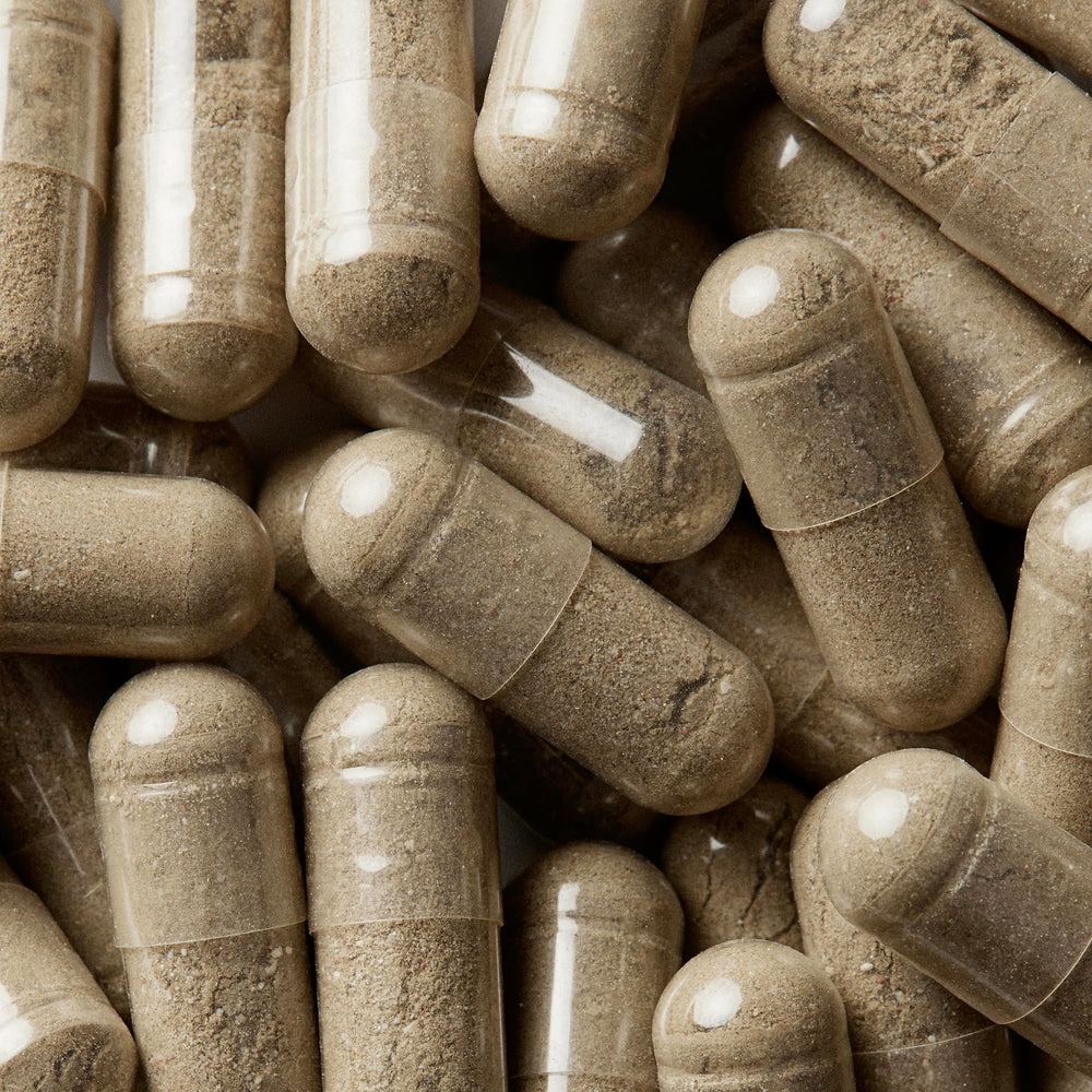 WELLBEL daily dose instruction shows three capsules once daily.