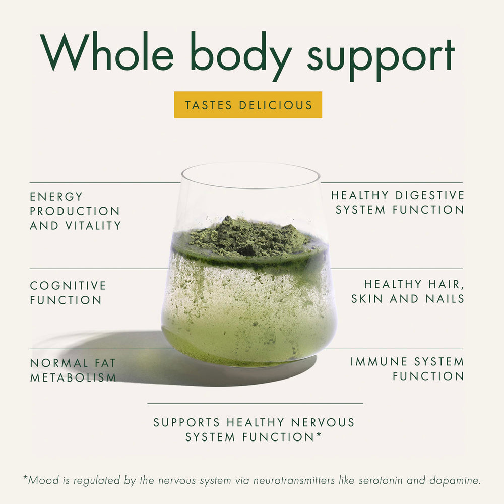 Mushroom powder blend indicating fiber, B vitamins, and amino acids for daily nourishment.