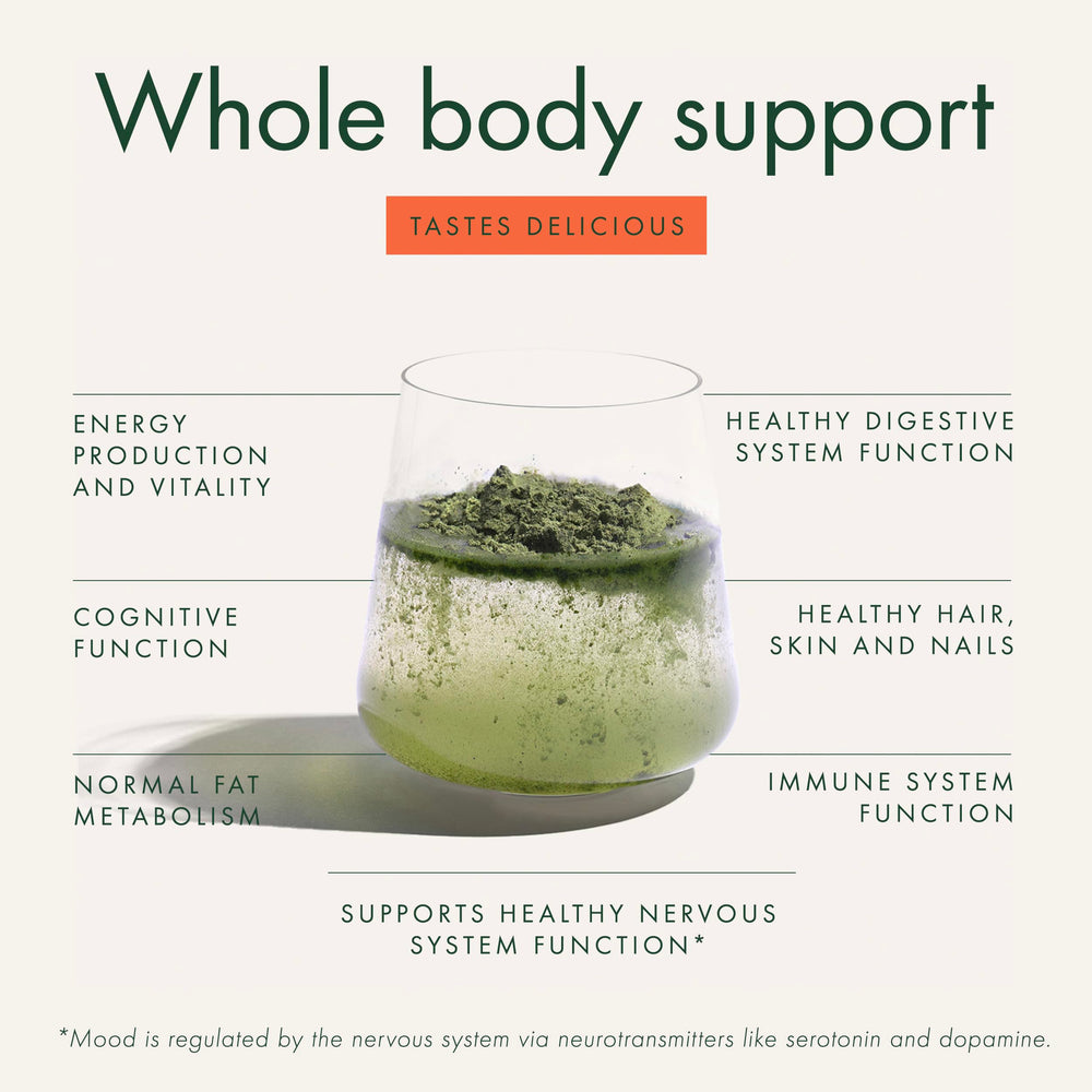 Ingredients display featuring probiotics, greens, and mushrooms in WelleCo The Super Elixir
