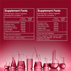 Wellgenix Puriclean x2 capsules for convenient cleansing.
