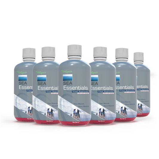 Wellgenix Sea Essentials bottle front view for daily mineral support