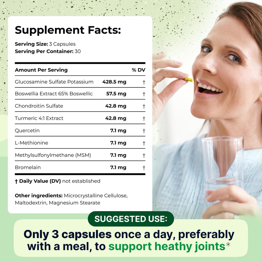 Wellnee Joint Support ingredients graphic featuring glucosamine and chondroitin for mobility
