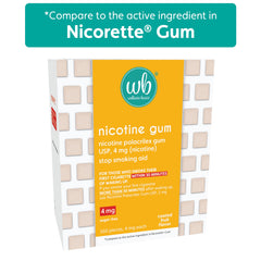 Wellness Basics nicotine gum 4mg fruit flavor morning-use supports routine cravings.