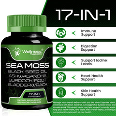 WELLNESS LABSRX bladderwrack seamoss capsules showing sea vegetable blend.