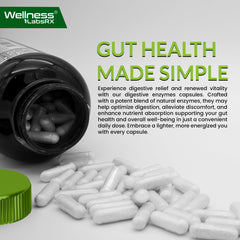 Wellness LabsRx prebiotics image shows fuel for probiotics to support gut health.