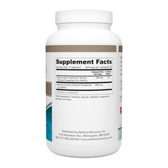 Wellness Resources Calcium AEP capsules close-up highlighting compact daily nerve support.