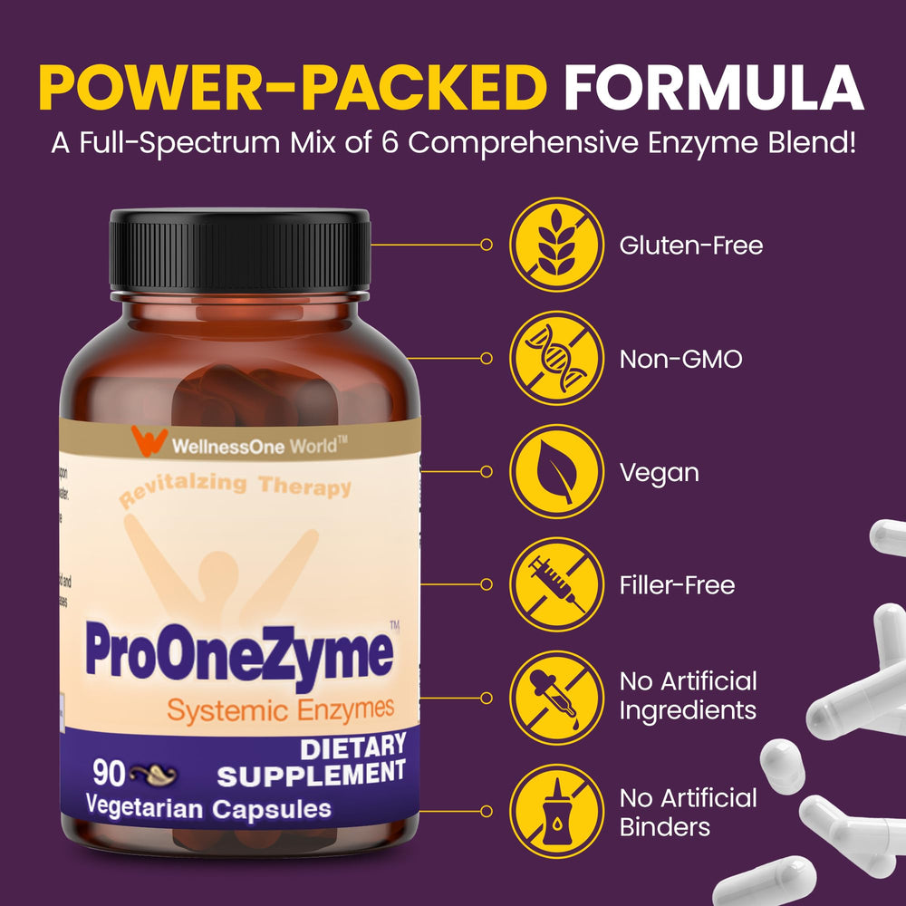 WellnessOne ProOneZyme diagram illustrating enzyme action in digestion.