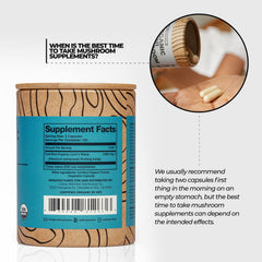 Eco-friendly recycled cardboard packaging for Wellnest Lions Mane