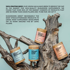 Wellnest.Store Reishi packaging design for travel-friendly use.