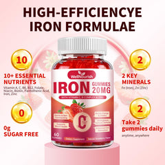 Wellnourish Iron Gummies duo-pack shows 120-count for convenient daily use.