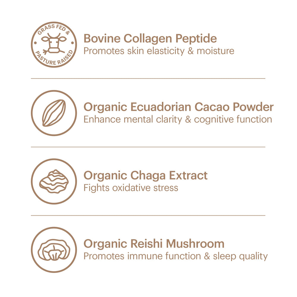 Wellthy Collagen Superfood Powder highlighting Ecuadorian cacao and monk fruit sweetness.
