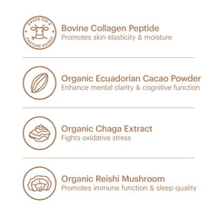 Wellthy Collagen Superfood Powder highlighting Ecuadorian cacao and monk fruit sweetness.