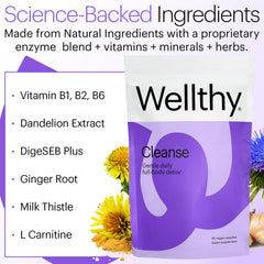 Wellthy detox with ginger root and DigeSEB Plus for gut health.