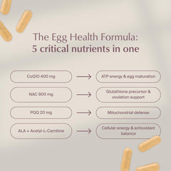 WeNatal Egg Quality+ dosage guide illustrating three capsules per day