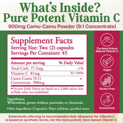 Whole World Botanicals Royal Camu Dark capsules close-up, organic camu-camu powder.