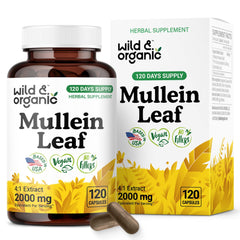 Wild & Organic Mullein Capsules bottle front showing the 120-capsule pack for daily lung support