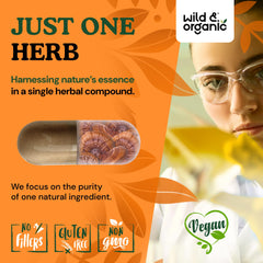 Wild & Organic Reishi capsules feature a plant-based vegan coating for flexible lifestyles.