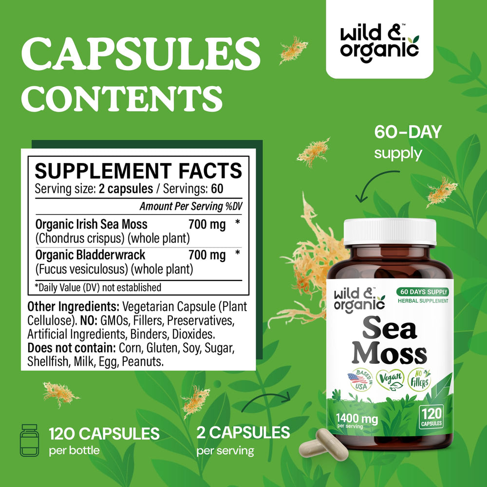 Pouring Wild & Organic sea moss capsules for daily routine