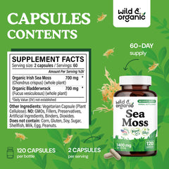 Pouring Wild & Organic sea moss capsules for daily routine