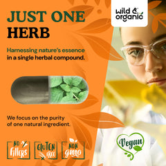 Open package scene with 180 nettle capsules arranged for daily use.
