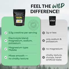 Wild Foods Creatine + Electrolytes lemon-lime travel pack on a table.