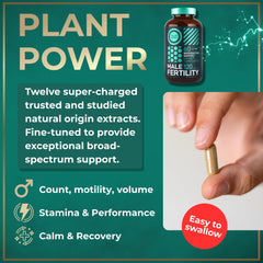 Wild Fuel saw palmetto capsules aiding hormonal balance and reproductive health.
