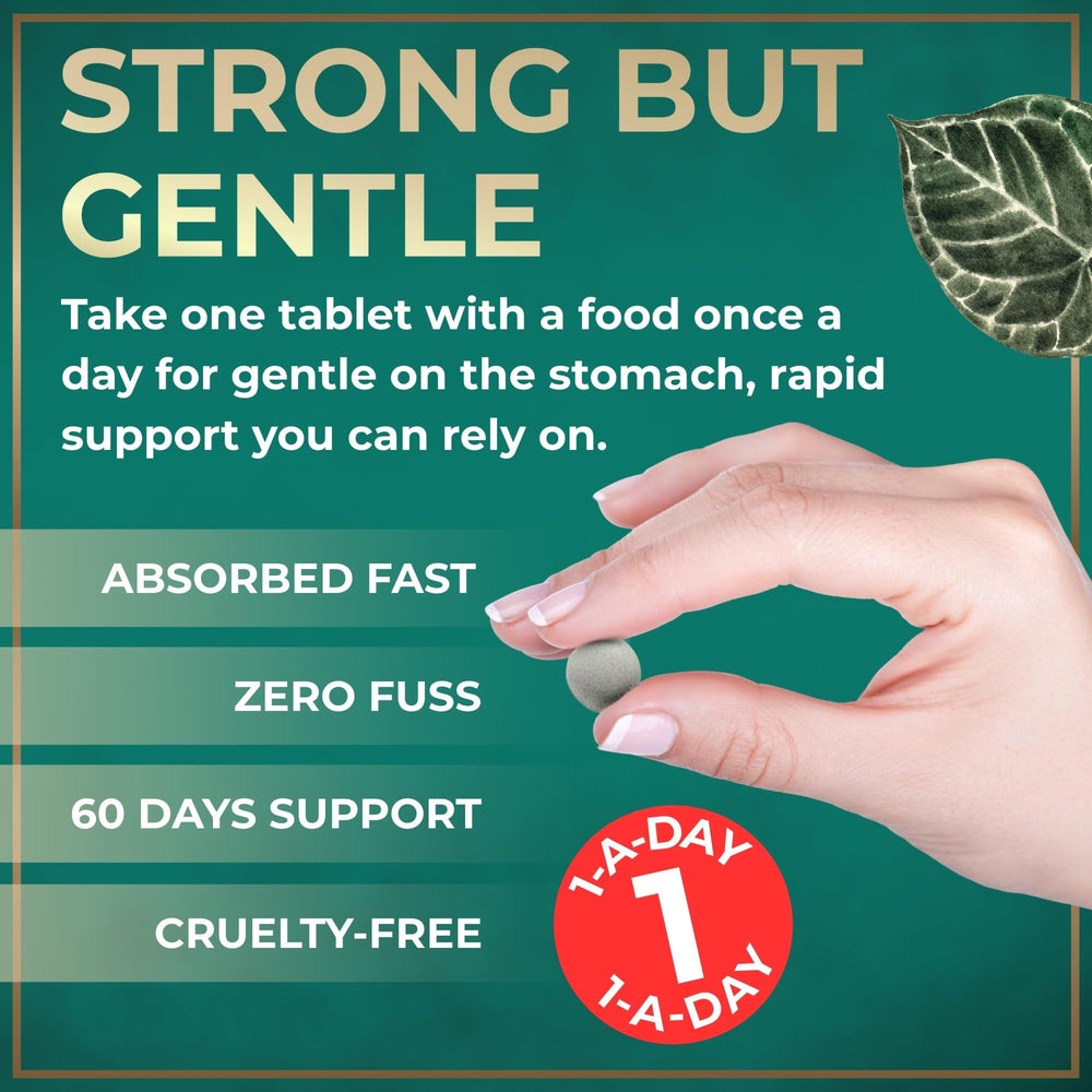 Wild Fuel two-pack box front highlights 120 gluten-free tablets.